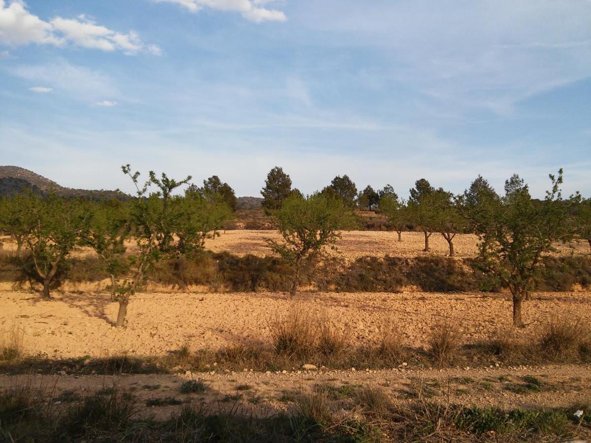 Casa Rural El Carmen De La Sierra Yecla Eksteriør bilde