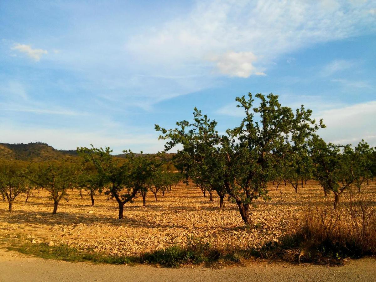 Casa Rural El Carmen De La Sierra Yecla Eksteriør bilde