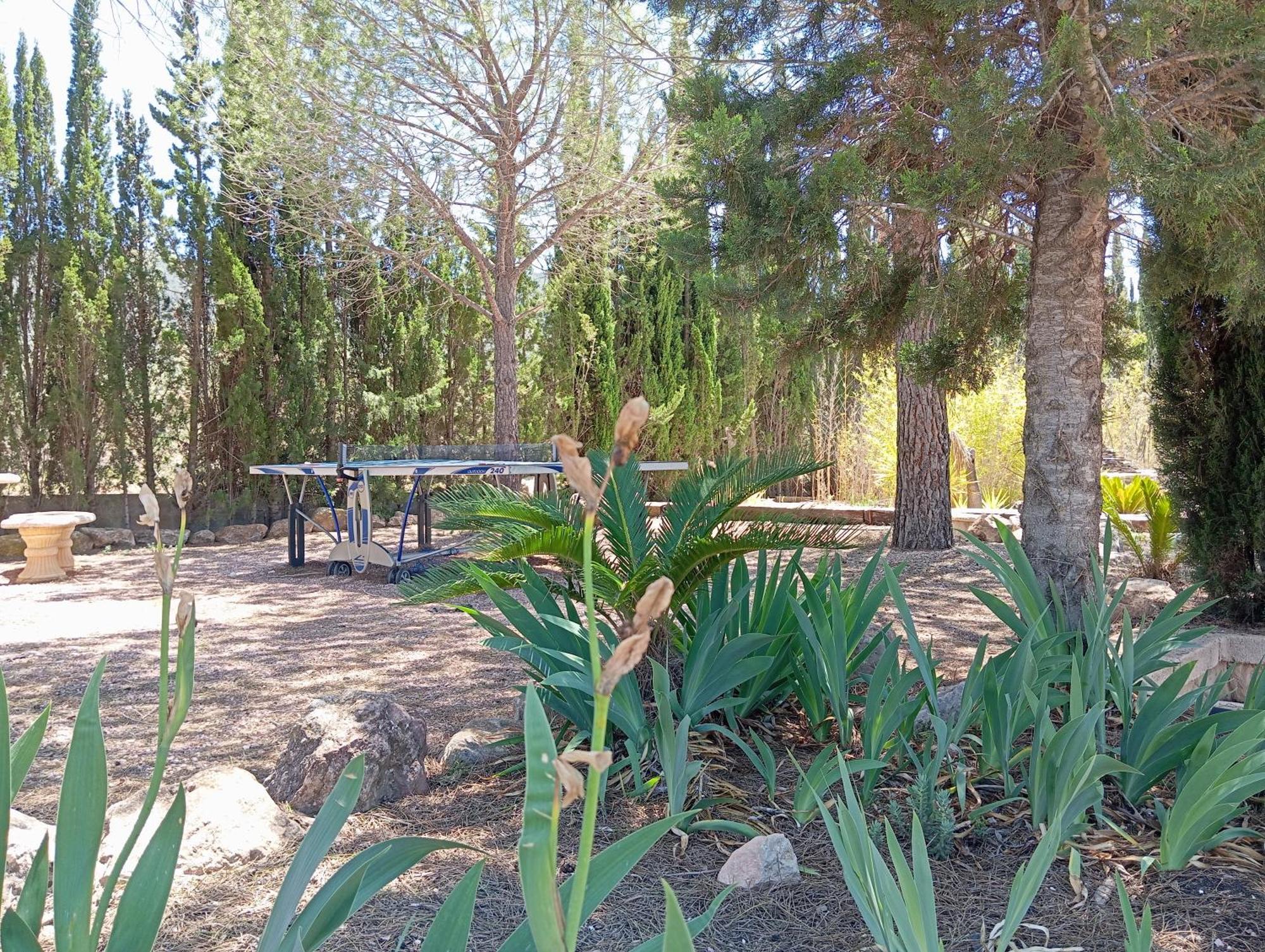Casa Rural El Carmen De La Sierra Yecla Eksteriør bilde